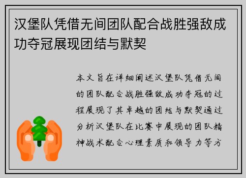 汉堡队凭借无间团队配合战胜强敌成功夺冠展现团结与默契